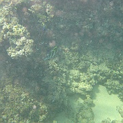 Picture 084